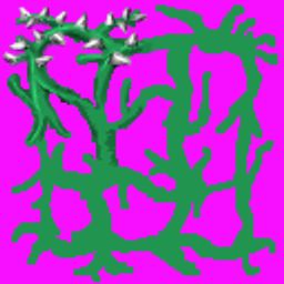 wikilink Spikey Vine