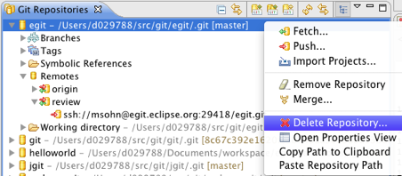 Image:Egit-0.10-DeleteRepository.png