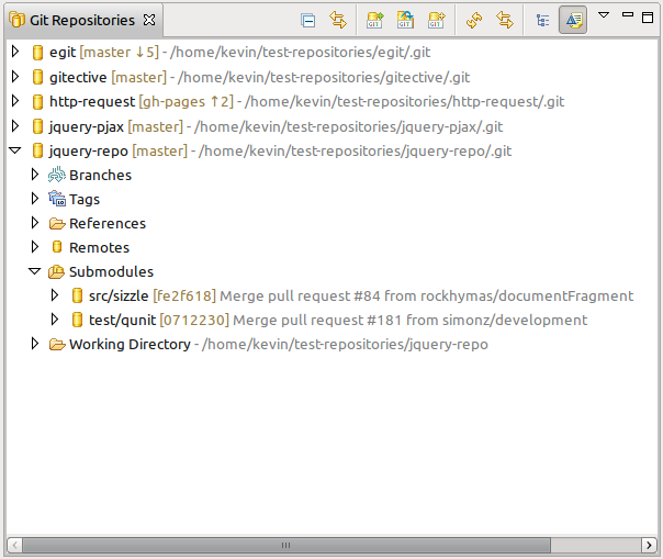 Image:Egit-13-submodules-node.png